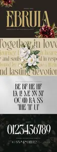 Ebrula Vintage - Classic Serif Font LC5EE7E