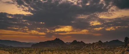 Quantum Cowboys (2022)
