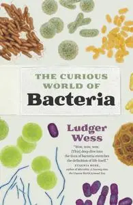 The Curious World of Bacteria