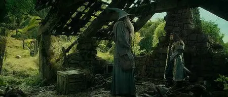 Lo Hobbit: Un viaggio inaspettato (2012)