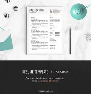 CreativeMarket - Resume Template - The Amelia