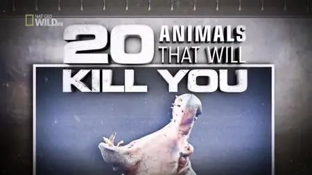 National Geographic - 20 Animals That Will Kill You (2011)