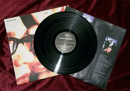 The Jeremy Days - The Jeremy Days (Polydor 837 216-1) (GER 1988, 1st Press, VINYL)
