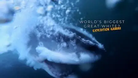 NG. - World's Biggest Great White? Expedition Hawaii (2020)