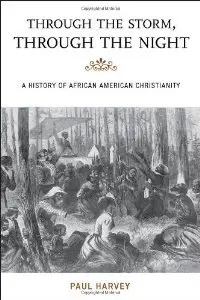 Through the Storm, Through the Night: A History of African American Christianity (The African American History Series) (repost)