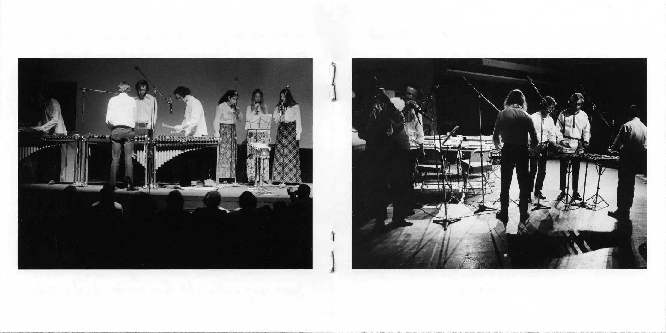 Steve Reich - Drumming (2018) {2CD first-time CD release Superior Viaduct SV097 rec 1971}