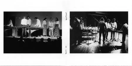 Steve Reich - Drumming (2018) {2CD first-time CD release Superior Viaduct SV097 rec 1971}