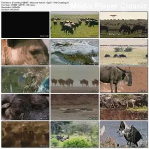BBC - Massive Nature [Complete Series]