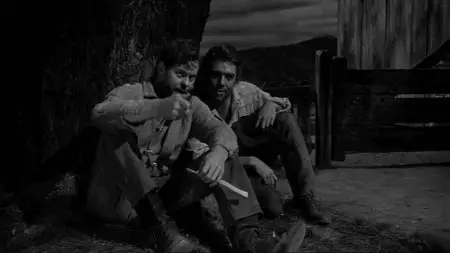Desire Under the Elms (1957)