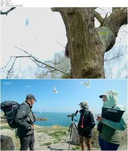 BBC - Iolo's Wild Anglesey (2022)