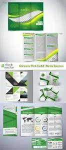 Vectors - Green Tri-fold Brochures