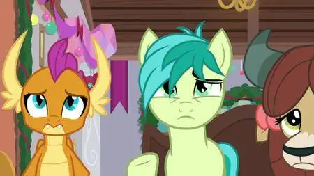 My Little Pony: L' Amicizia E' Magica S08E15