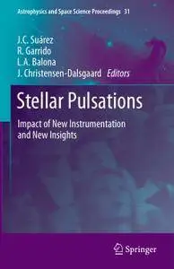 Stellar Pulsations: Impact of New Instrumentation and New Insights (Repost)