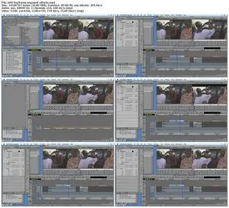 Lynda - Media Composer 8.6 Essential Training: 101