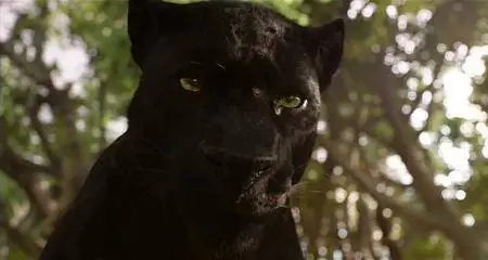The Jungle Book (2016)