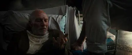 Logan - The Wolverine (2017)