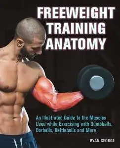 Freeweight Training Anatomy (Repost)