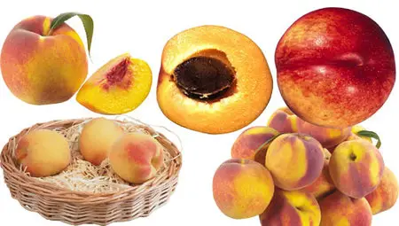 PSD-Peachs