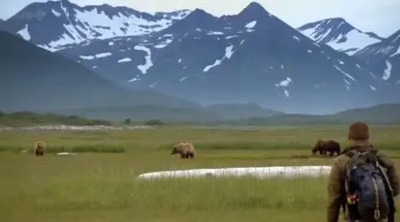 BBC Natural World - Grizzlies of Alaska (2012)