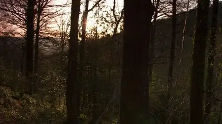 BBC - Dawn Chorus: The Sounds of Spring (2015)