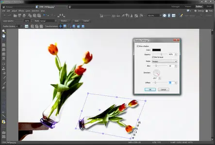 Zoner Photo Studio Professional 12.0.1.4 Portable