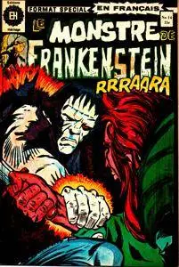Monstre de Frankenstein (EH) 14