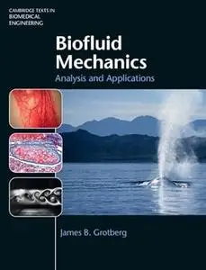 Biofluid Mechanics: Analysis and Applications