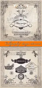 Calligraphy design elements vector