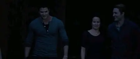 The Twilight Saga: Breaking Dawn - Part 2 (2012)