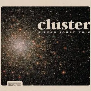 Silvan Joray Trio - Cluster (2020) [Official Digital Download 24/96]