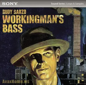 Sony Sound Series Rudy Sarzo Workingman's Bass ACiD WAV 