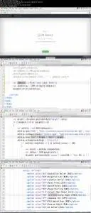 JSON in Action