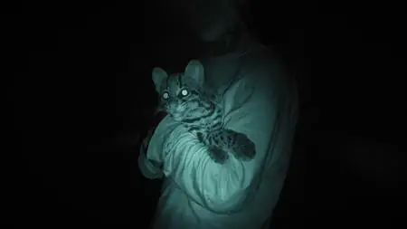 Wildcat (2022)