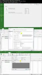 Microsoft Project for Project Professionals