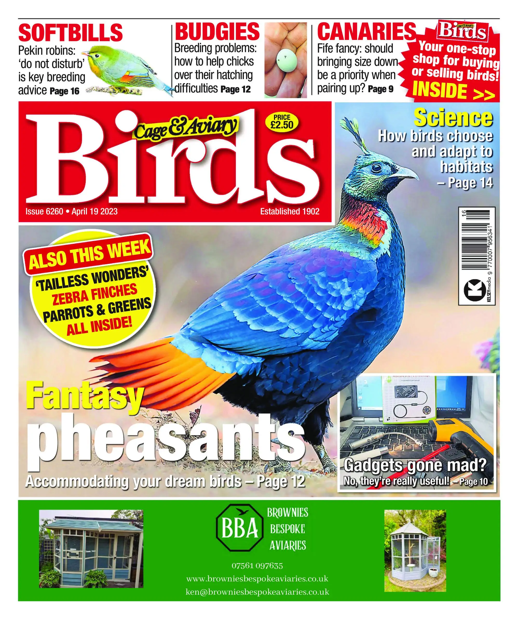 Cage & Aviary Birds – 19 April 2023