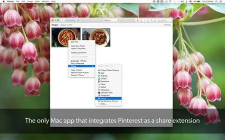 Pinner: Uploader for Pinterest 1.0 Mac OS X