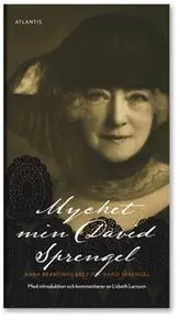 «Mycket min David Sprengel» by Larsson Lisbeth