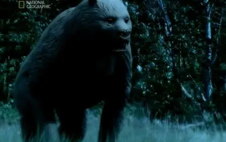 National Geographic - Evolutions (2008) DVDRip