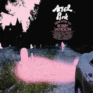 Ariel Pink - Dedicated To Bobby Jameson (Japanese Edition) (2017)