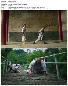 Secrets of Shaolin with Jason Scott Lee (2012)