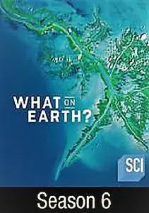 Sci Ch - What on Earth: Series 6 (2019)