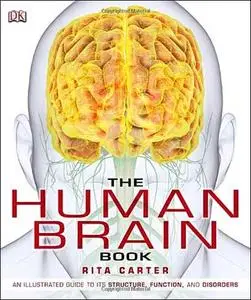 The Human Brain Book (repost)
