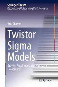 Twistor Sigma Models: Gravity, Amplitudes, and Flat Space Holography