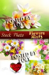 Flower Mix #3 - Stock Photo