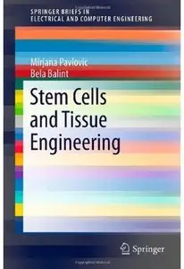 Stem Cells and Tissue Engineering [Repost]
