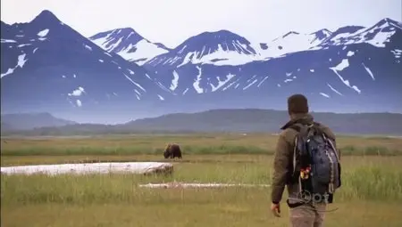 PBS Nature - Bears of the Last Frontier (2011)