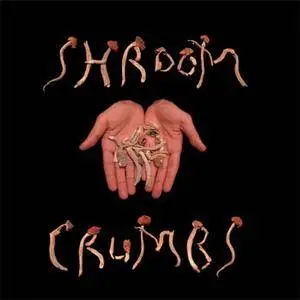 Bru Lei & DJ PRZM - Shroom Crumbs (EP) (2009) {Public School} **[RE-UP]**