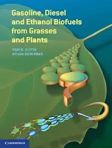 Gasoline, Diesel and Ethanol Biofuels from Grasses and Plants (repost)