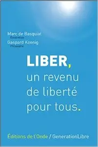 Liber, un revenu de liberté pour tous : Une proposition d'impôt négatif en France