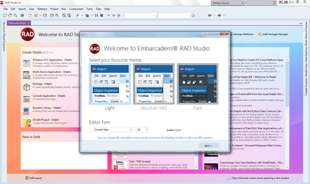 Embarcadero RAD Studio 11.2